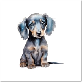 dachshund Posters and Art